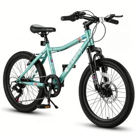 Forbidden to Sell on Temu 20 Inch Kids Mountain Bike, 7-Speed Boys Girls Bicycle with Front Suspension, Disc & V-Brake, Steel Frame Children\'s Bike f (Option: 20in_Green)